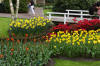 Keukenhof un festival de tulipe page 7  28 