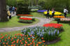 Keukenhof un festival de tulipe page 7  25 