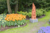 Keukenhof un festival de tulipe page 8  50 