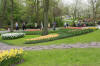 Keukenhof un festival de tulipe page 8  36 