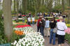 Keukenhof un festival de tulipe page 8  29 