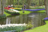 Keukenhof un festival de tulipe page 8  9 