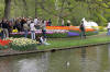 Keukenhof un festival de tulipe page 9  46 