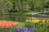 Keukenhof un festival de tulipe page 9  39 