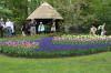 Keukenhof un festival de tulipe page 9  24 