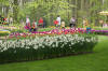 Keukenhof un festival de tulipe page 9  20 