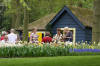 Keukenhof un festival de tulipe page 9  19 