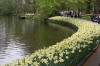 Keukenhof un festival de tulipe page 9  18 