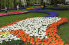 Keukenhof un festival de tulipe page 9  17 