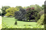 Les serres Royal de Belgique - Le parc  5 