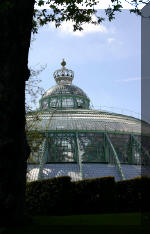 Les serres Royal de Belgique - Le parc  16 