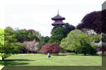 Les serres Royal de Belgique - Le parc  45 