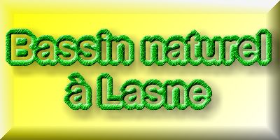 Bassin de jardin naturel  Lasne - dtails 1  1 