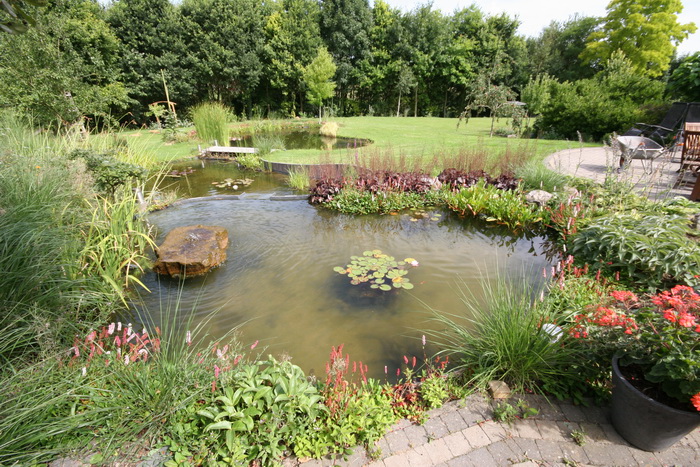 Aquajardin : toute l'information pour un jardin aquatique hors du commun !