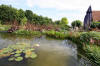 Bassin de jardin naturel  Lasne - Vue gnrale  10 