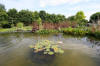 Bassin de jardin naturel  Lasne - Vue gnrale  14 