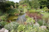 Bassin de jardin naturel  Lasne - Vue gnrale  16 