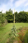 Bassin de jardin naturel  Lasne - Vue gnrale  35 