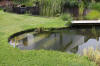 Bassin de jardin naturel  Lasne - dtails 1  38 