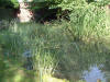 etang en bentonite 2 1