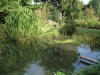 etang en bentonite 2 2