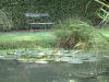 etang en bentonite 2 4
