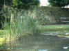 etang en bentonite 2 7