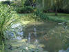 etang en bentonite 2 23