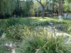 etang en bentonite 2 22