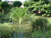 etang en bentonite 2 28