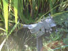 etang en bentonite 2 30