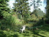 etang en bentonite 2 35