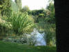 etang en bentonite 2 36