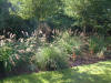 etang en bentonite 2 37
