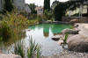 Transformation d'une piscine classique en bassin baignade 1  39 