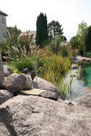 Transformation d'une piscine classique en bassin baignade 1  32 