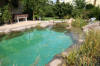 Transformation d'une piscine classique en bassin baignade 1  22 