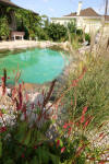 Transformation d'une piscine classique en bassin baignade 1  15 