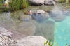 Transformation d'une piscine classique en bassin baignade 2  13 