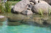 Transformation d'une piscine classique en bassin baignade 2  4 