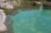 Transformation d'une piscine classique en bassin baignade 2  2 