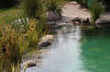 Transformation d'une piscine classique en bassin baignade 4  47 