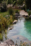 Transformation d'une piscine classique en bassin baignade 4  51 