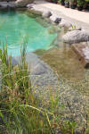 Transformation d'une piscine classique en bassin baignade 4  3 