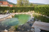 Un bassin baignade dans les Vosges - PAGE PHOTO 1  42 