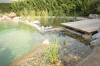 Un bassin baignade dans les Vosges - PAGE PHOTO 1  2 