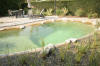 Un bassin baignade dans les Vosges - PAGE PHOTO 2  48 