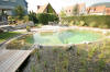 Un bassin baignade dans les Vosges - PAGE PHOTO 2  47 