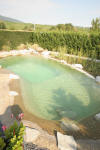Un bassin baignade dans les Vosges - PAGE PHOTO 2  44 