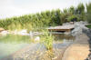 Un bassin baignade dans les Vosges - PAGE PHOTO 2  45 